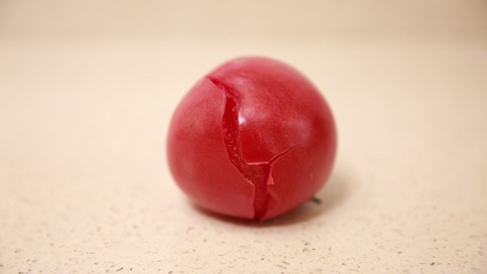 腐烂了的西红柿 (5)