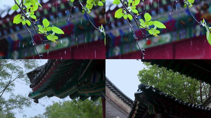 秋天的雨，绵延无期，屋檐的雨水流个不停。