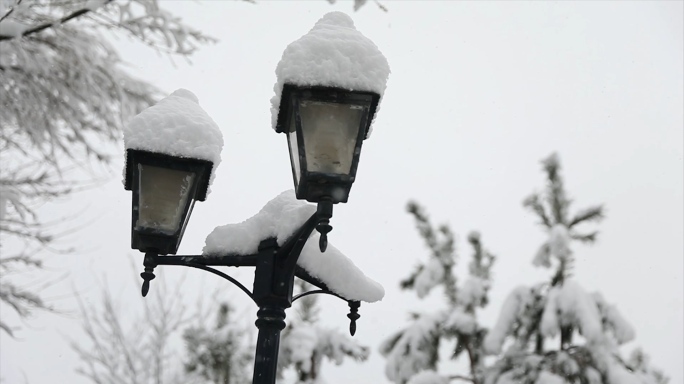 实拍 大雪 空镜 下雪 鹅毛大雪 飘雪