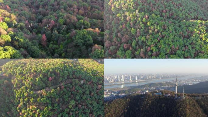 长沙岳麓山秋季航拍