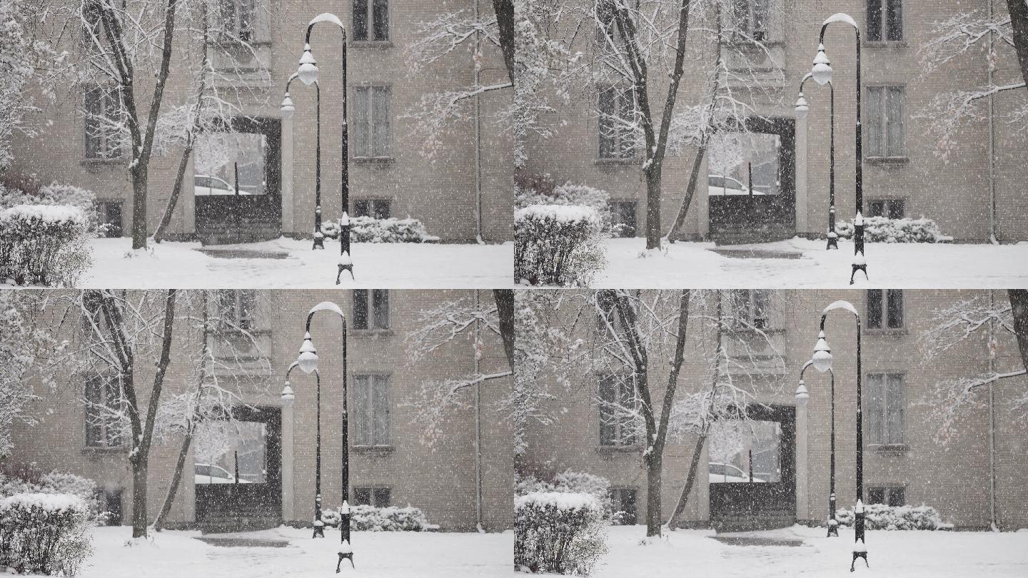 剑桥大学雪景5