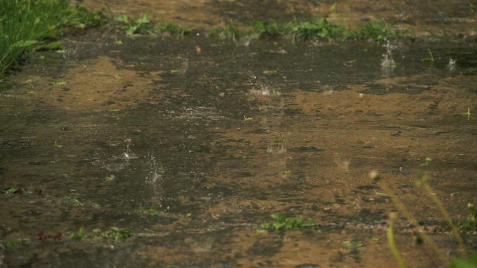 雨滴以慢动作落到地面上