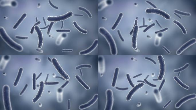 3d渲染高质量的细菌
