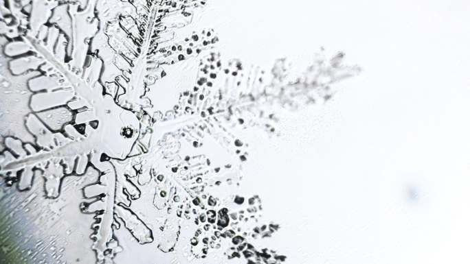 透明的雪花在显微镜下融化