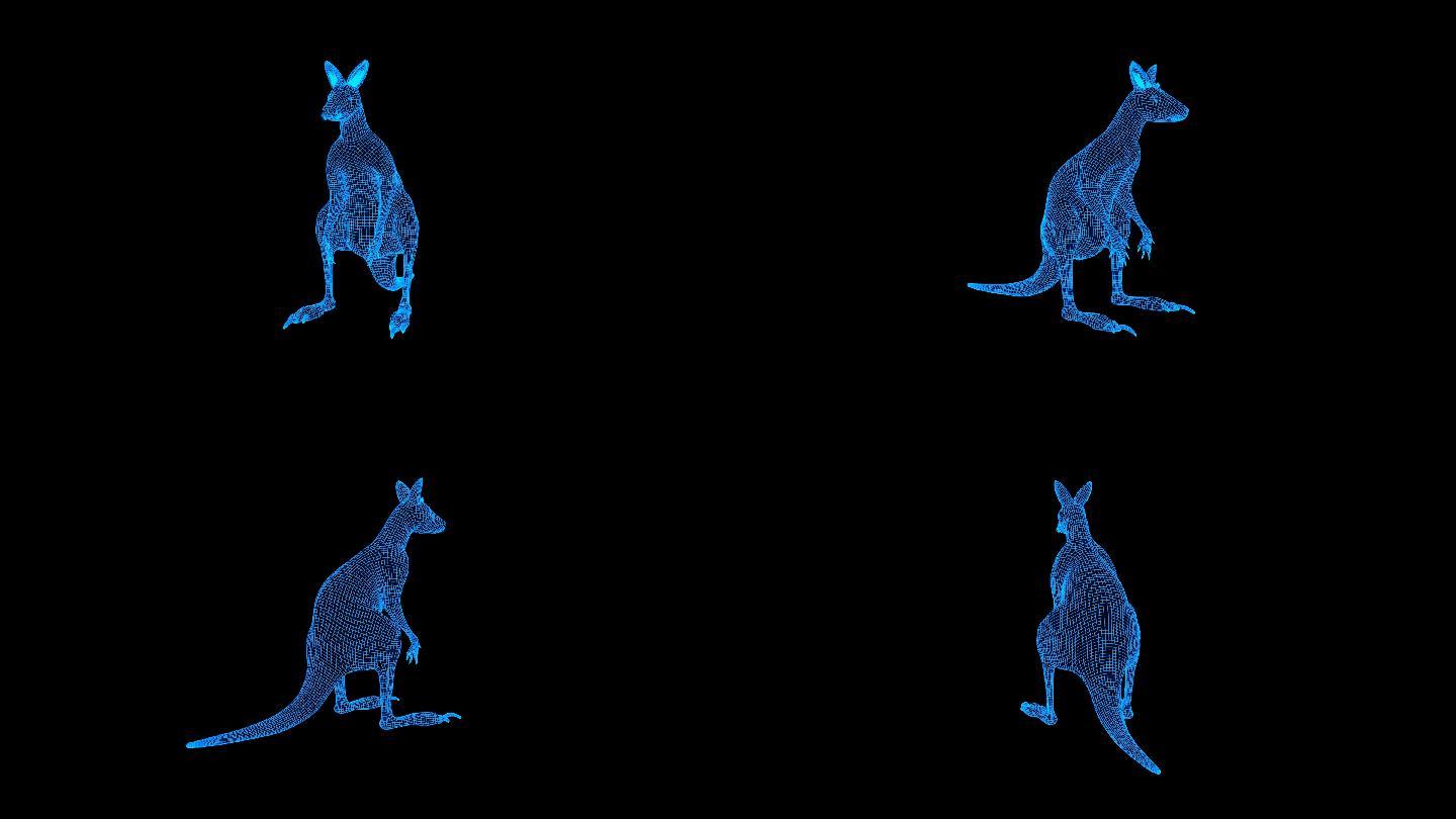 蓝色线框科技全息袋鼠动画带通道