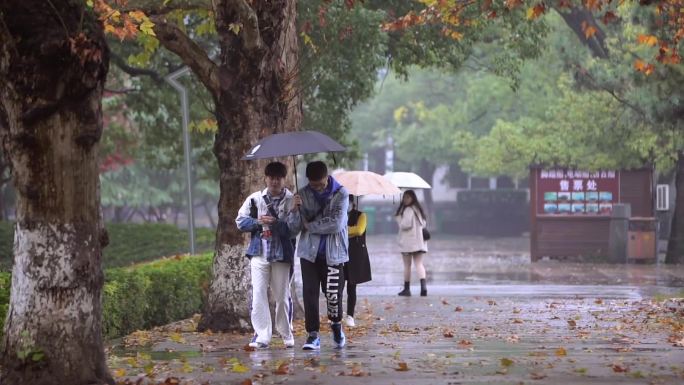 好兄弟公园里雨中散步