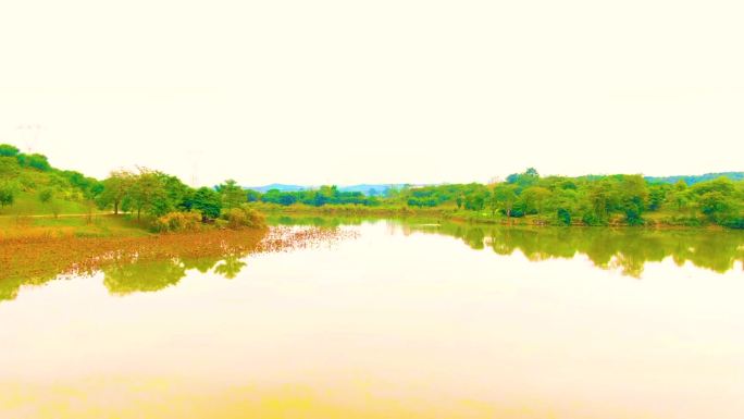 百色市干部学院河边风景