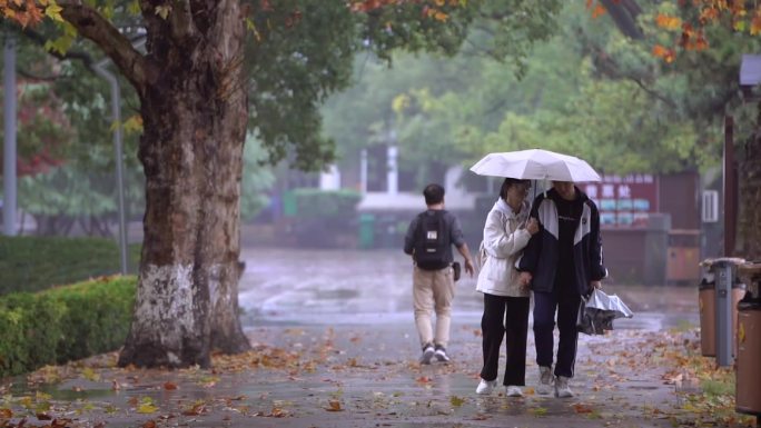 秋天情侣雨中散步牵手逛公园