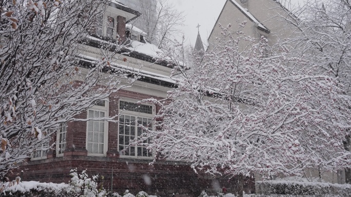 剑桥大学雪景
