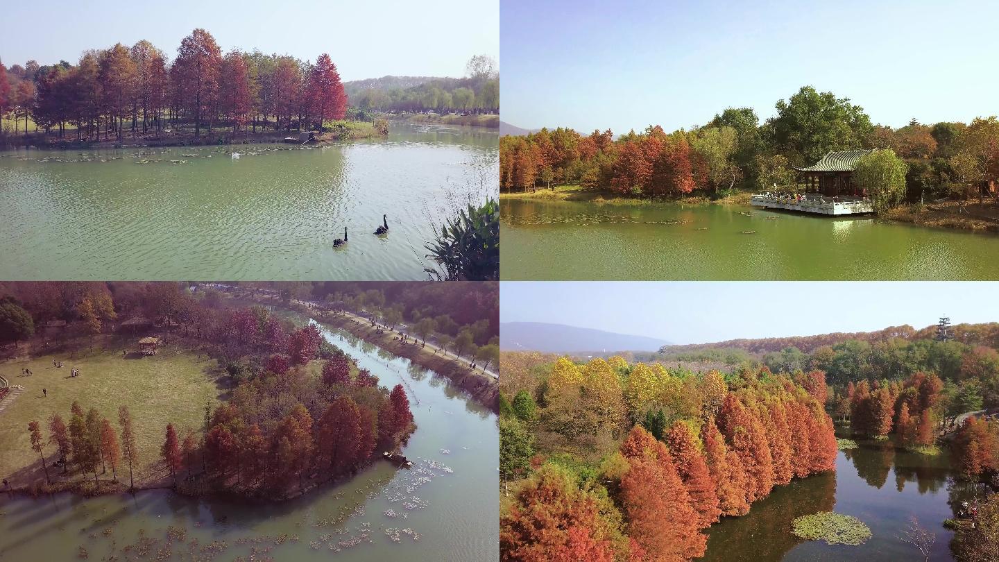 南京燕雀湖秋季航拍