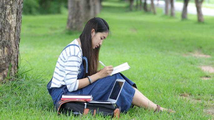 女孩在公园的树下学习