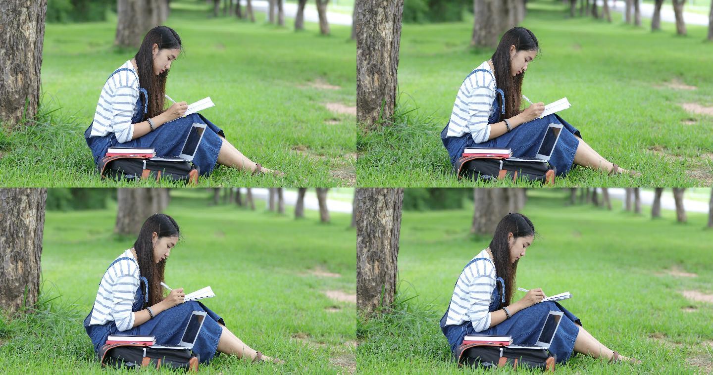 女孩在公园的树下学习