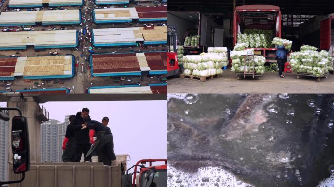 农贸市场蔬菜鱼虾运货武汉疫情稳产保供