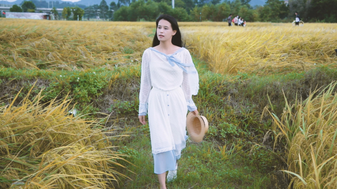4K秋天金色稻田里的少女