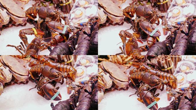 活龙虾和螃蟹