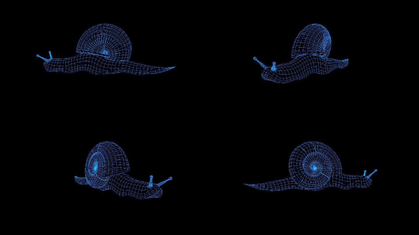 蓝色科技全息科技蜗牛2动画带通道
