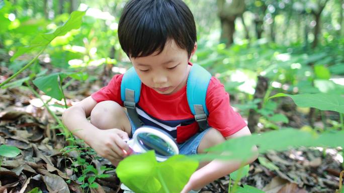 孩子们在玩放大镜小男孩人与自然和谐相处