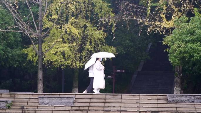 秋天雨中散步的行人路人