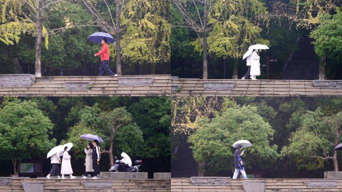 秋天雨中散步的行人路人