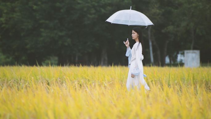 4K秋天金色稻田里的少女