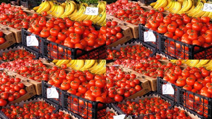 在街头市场展示番茄