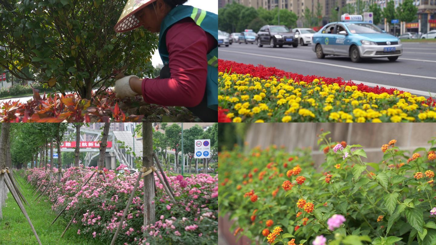 城市空镜 绿化 花卉 城市油路 洒水车