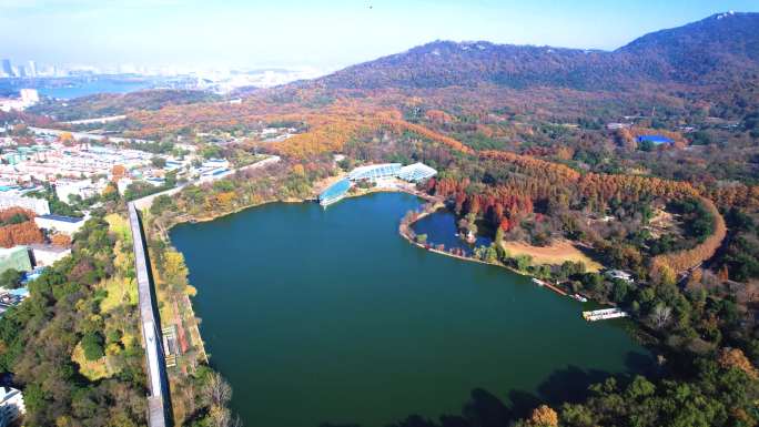 南京中山植物园 燕雀湖秋景