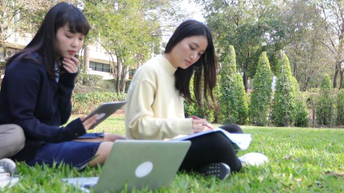 一组大学生坐在绿色的草地上大笑