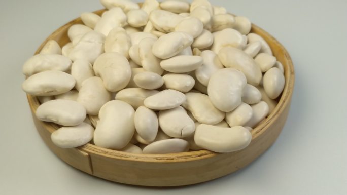 白色的芸豆豆子（五）