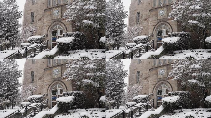 下雪的哈佛