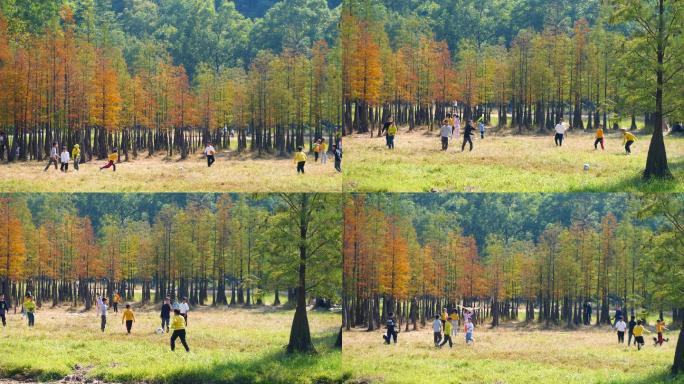 孩子们在秋天树林草地上踢球玩耍4k视频