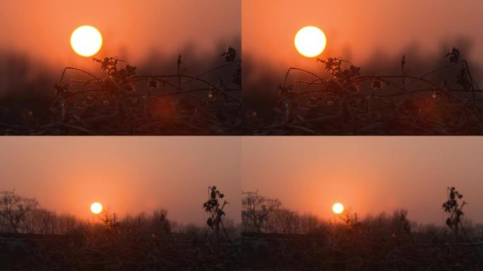 田间村头夕阳日落