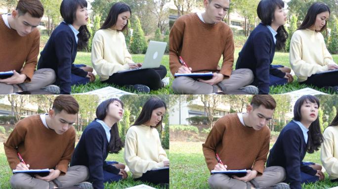 一组大学生坐在绿色的草地上工作和阅读