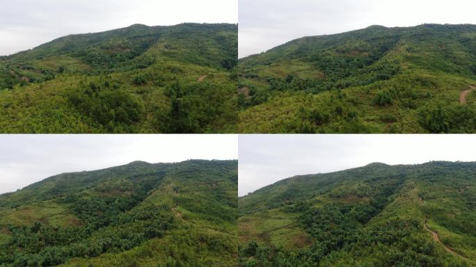 航拍森林雨林山天空