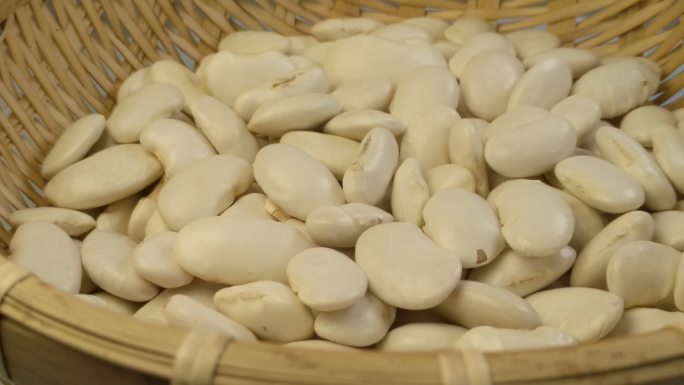 白色的芸豆豆子（一）