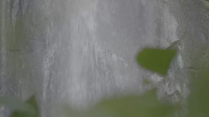 自然 树叶 瀑布 山泉 流水