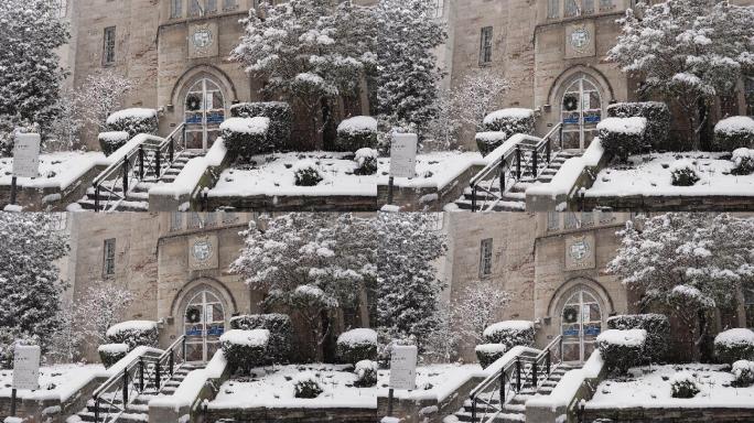 下雪的哈佛3