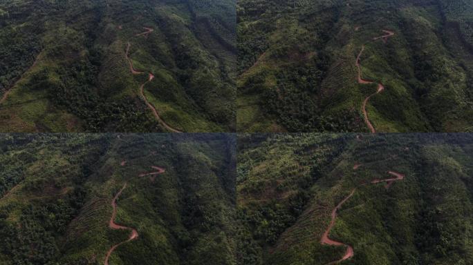 航拍绿色雨林森林羊肠小路