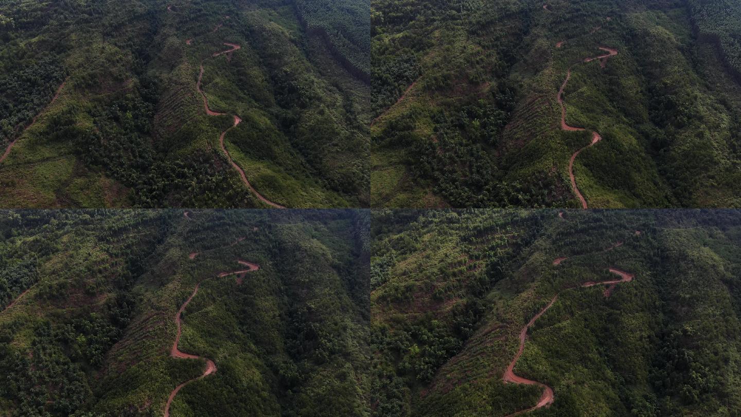 航拍绿色雨林森林羊肠小路