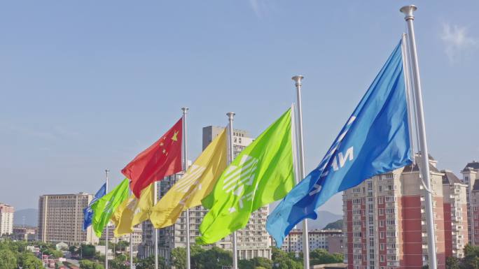 宁波保税区旗帜飘扬彩旗