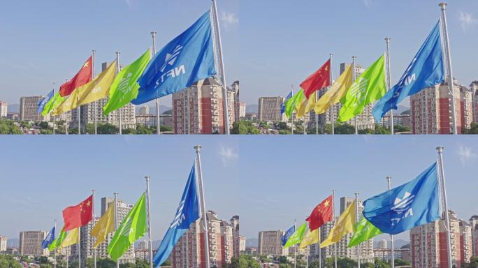 宁波保税区旗帜飘扬彩旗