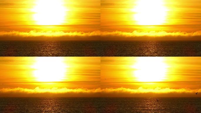 海面上的日落大海海平面海鸥海鸟飞行飞翔