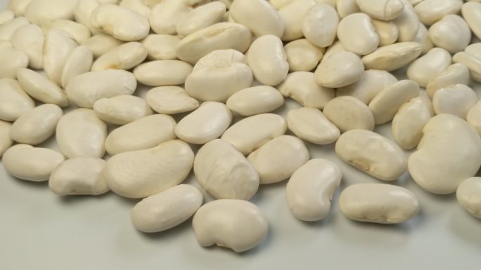 白色的芸豆豆子（二十七）