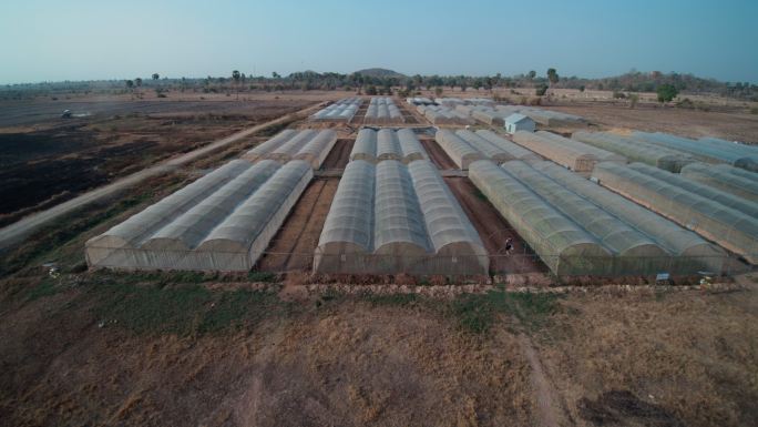 航拍柬埔寨农村的温室种植大棚