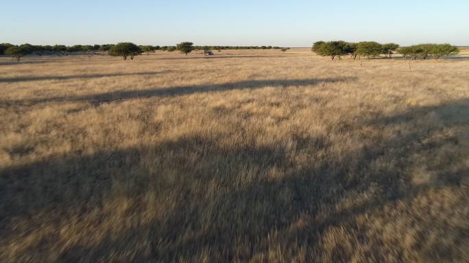 一辆汽车通过非洲大草原
