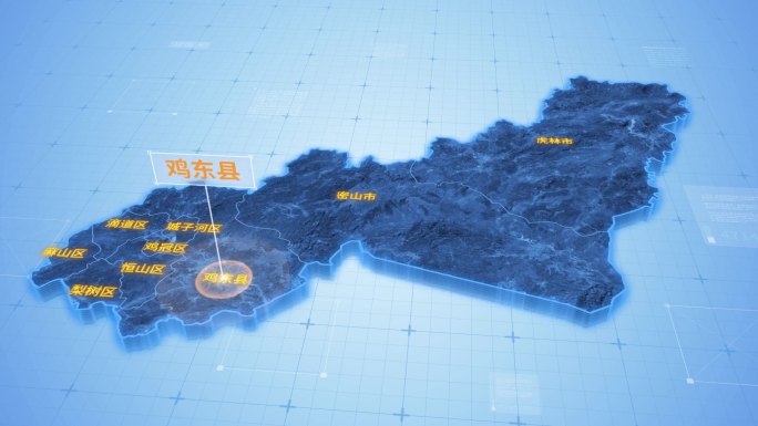 鸡西鸡东县三维科技感地图