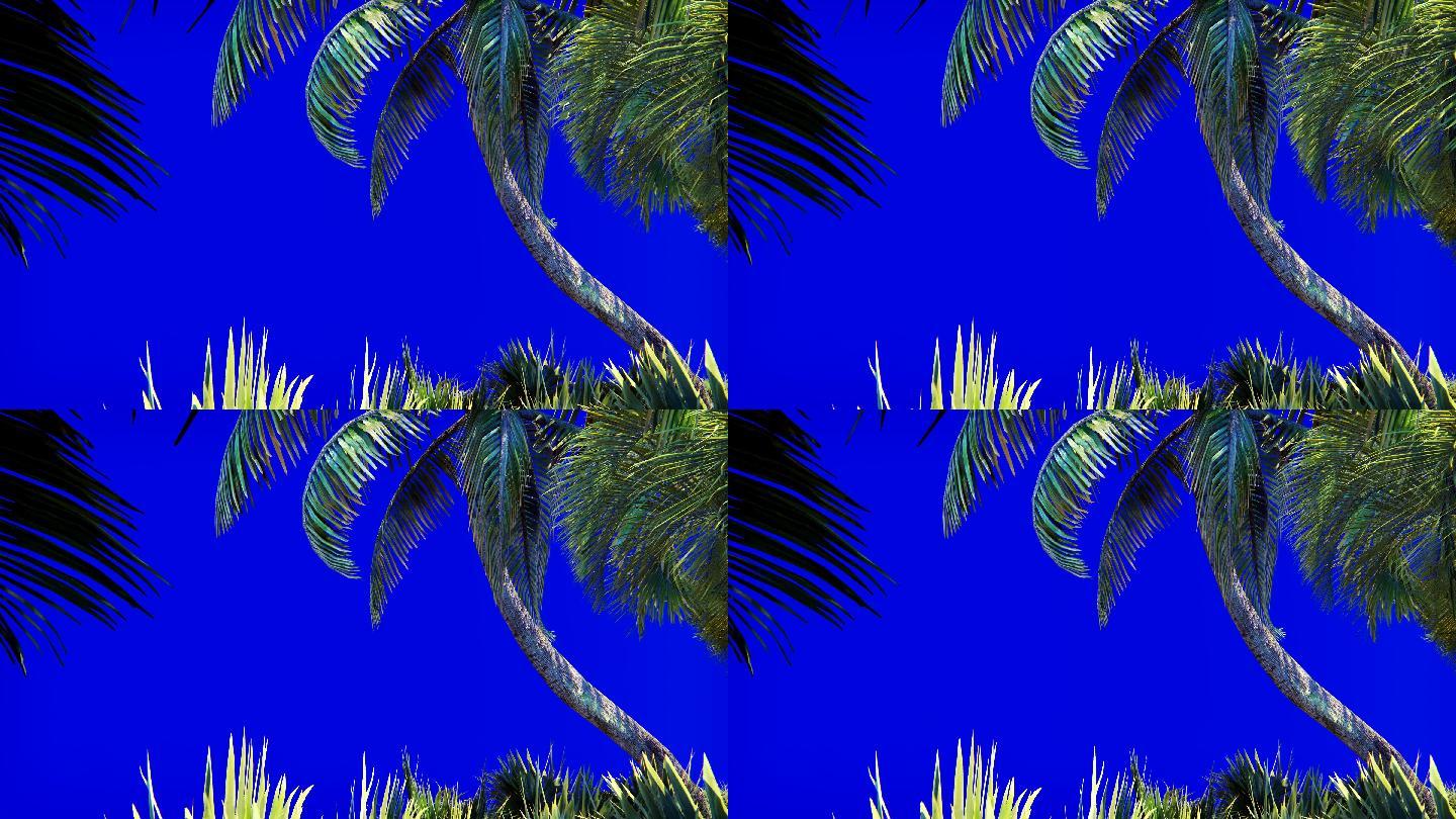 蓝色屏幕上的棕榈树