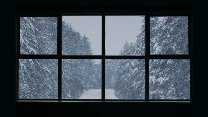 美丽的冬季景观与飘落的雪。