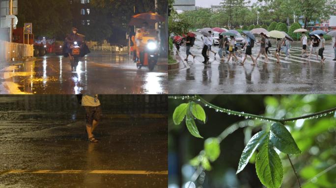 4k原创多种雨后情景镜头