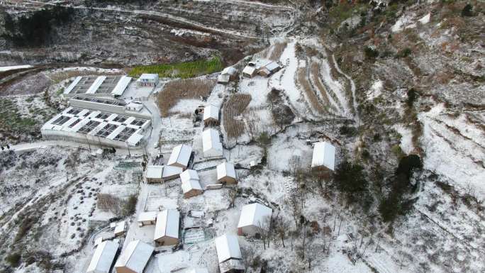 航拍4k村庄雪景